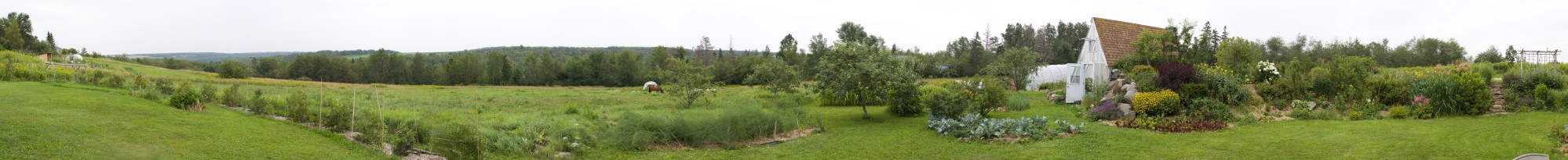 Lorax Woodlands panoramic view